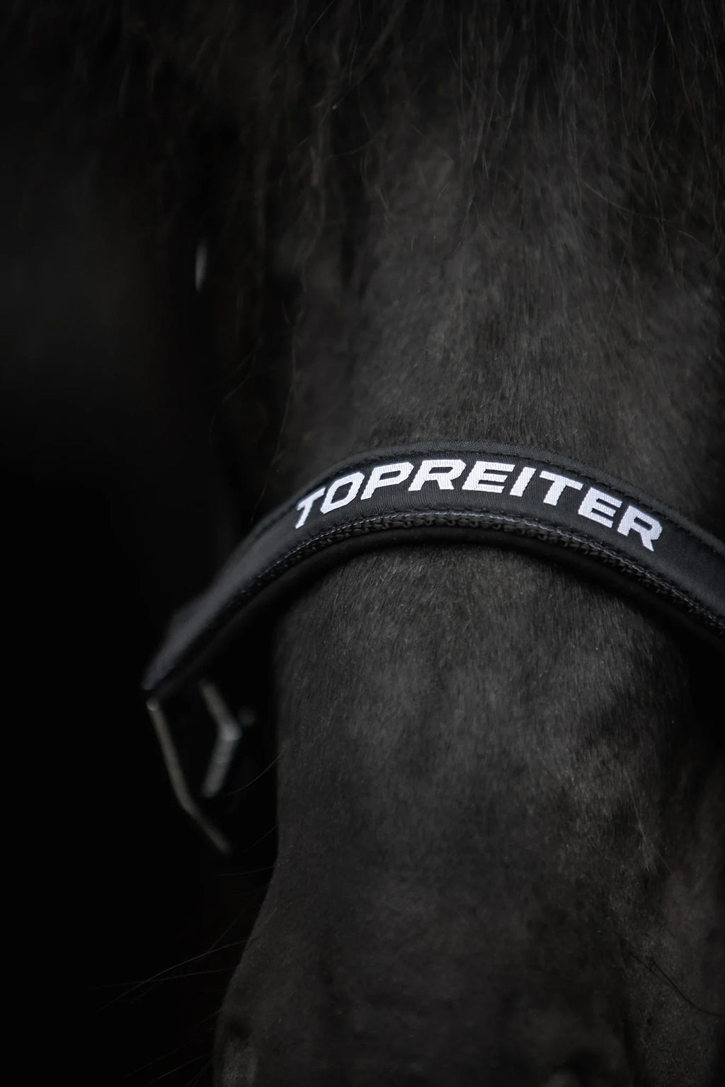 TOPREITER II Halfter