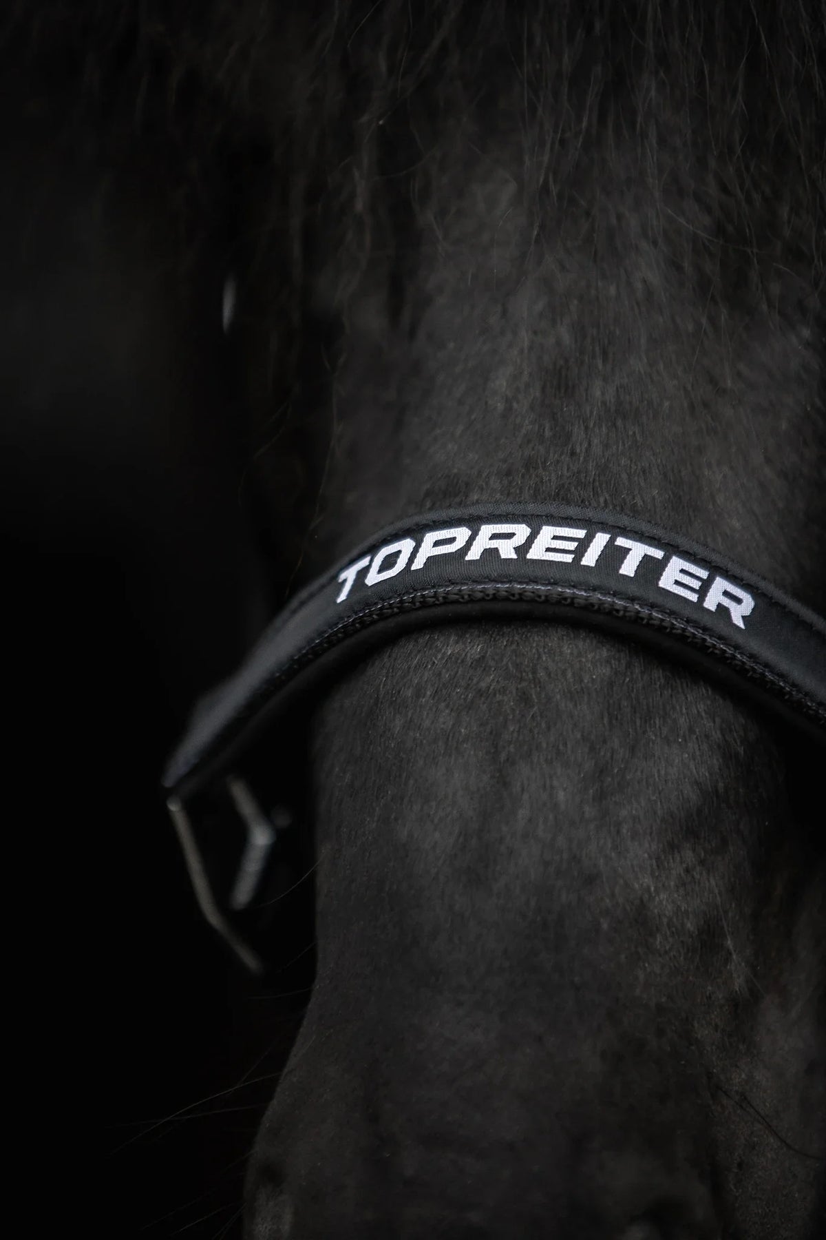 TOPREITER II Halfter