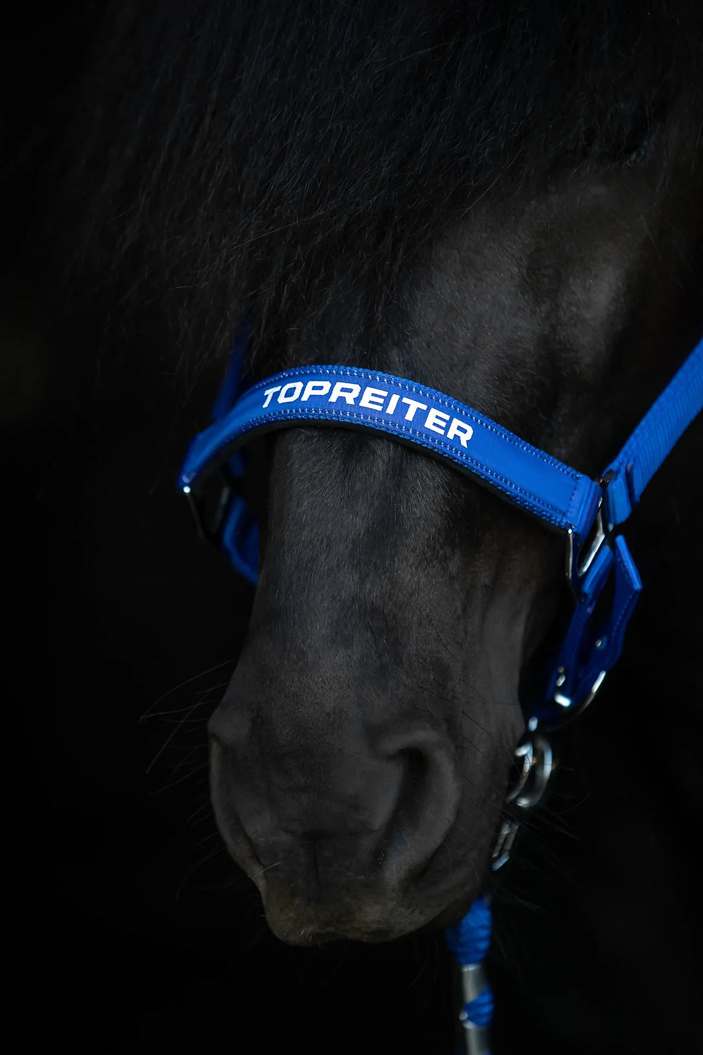 TOPREITER II Halfter