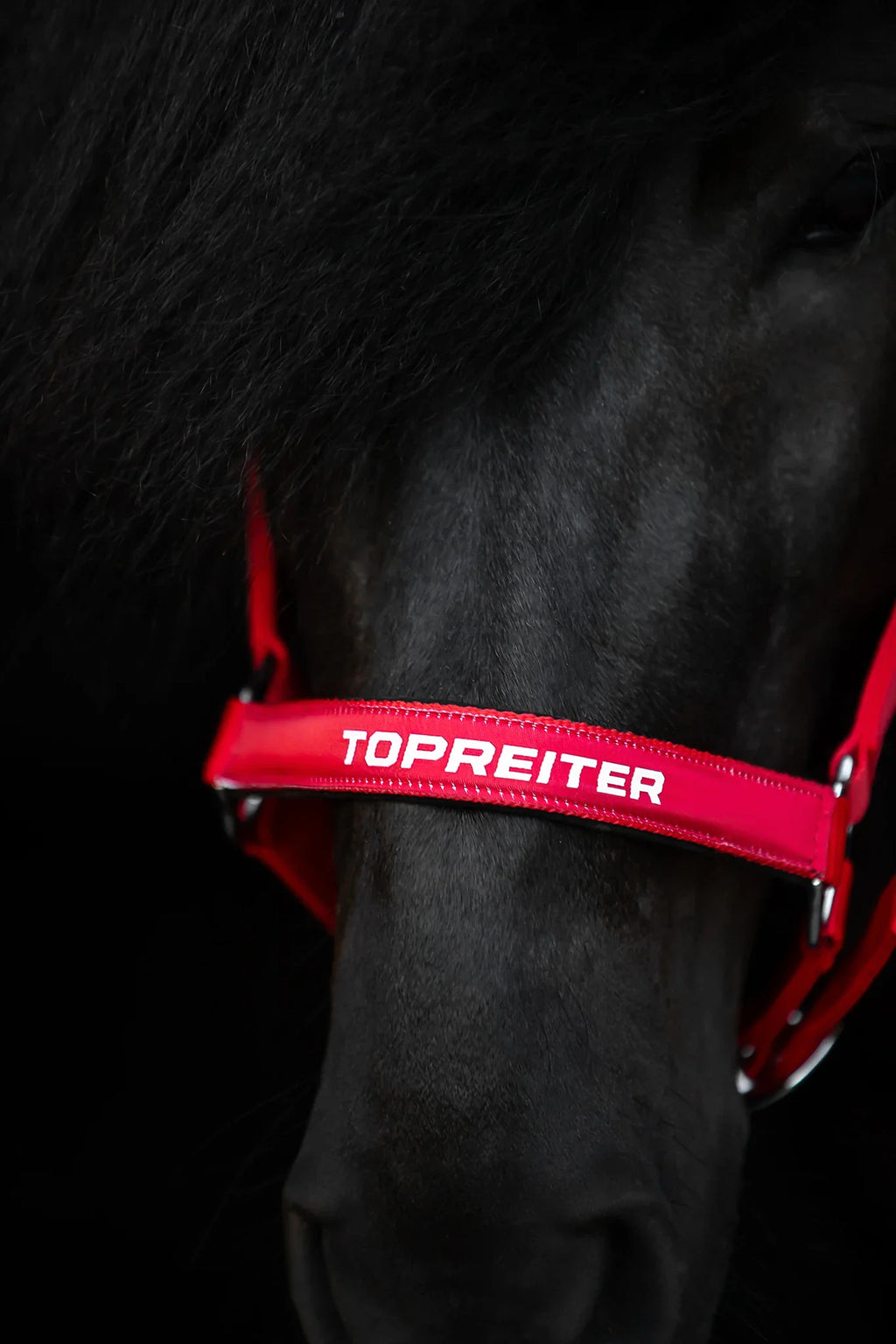 TOPREITER II Halfter